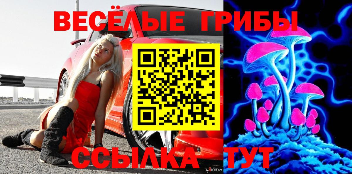 Псилоцибиновые грибы ЛСД Михайловск